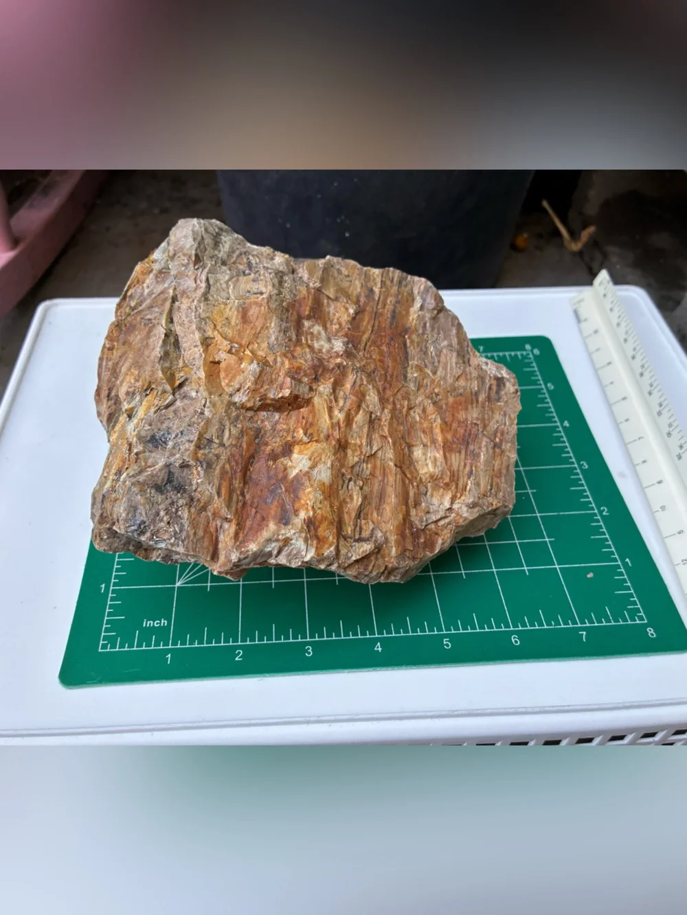 Large Rare Petrified Wood Specimen Rough 6” x7”, Over 5 Lbs - Picture 14 of 16
